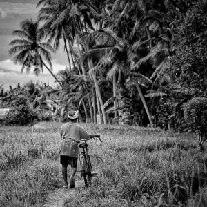 TC-126 — The Road Home