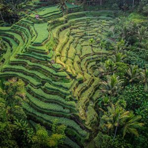 TC-125 — Where the Earth is Written