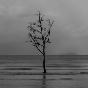 TC-013 — The Last Sentinel