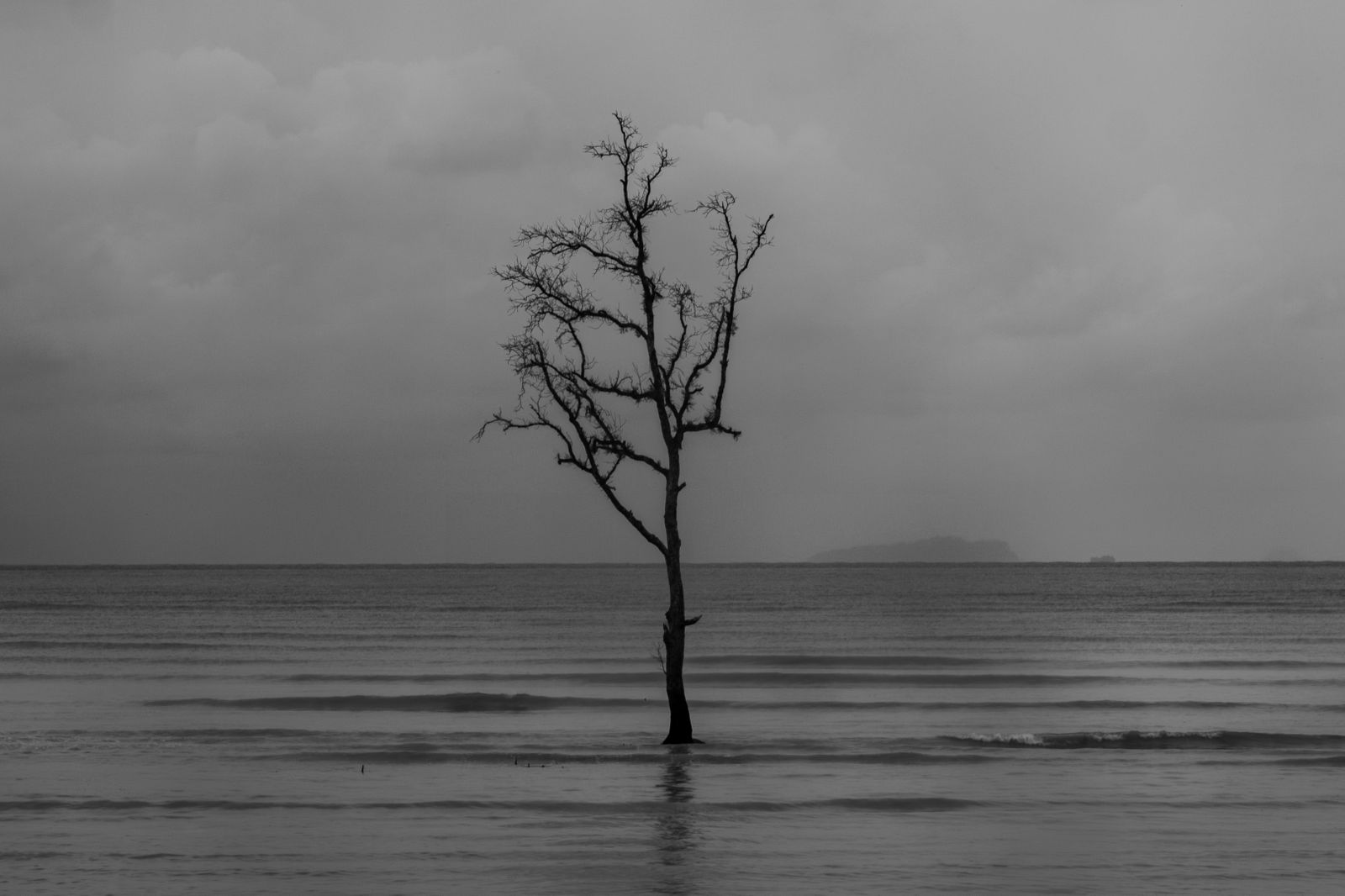TC-013 — The Last Sentinel