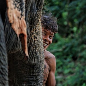 TC-016 — Between Us