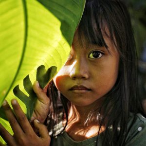 TC-057 — Between Light and Leaf