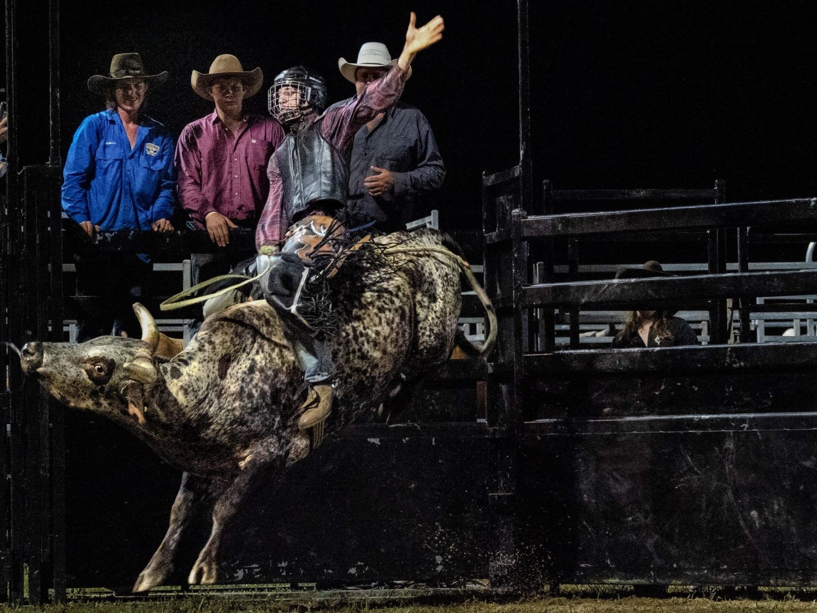 Rodeo: From Profession to Entertainment Sport - Terra Cultura