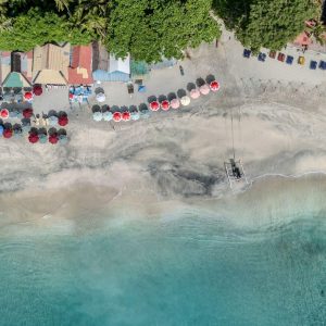 TC-117 — A Line of Color