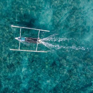 TC-029 — The Crossing