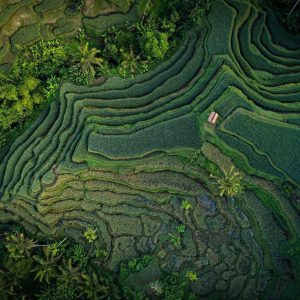 TC-110 — Lines of the Earth