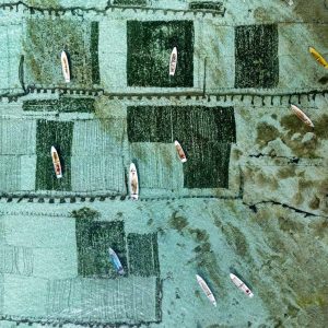 TC-069 — Patterns of Water