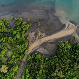 TC-119 — Where Water Finds Its Way