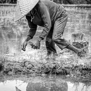 TC-012 — The Gesture