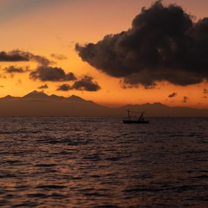 TC-010 — Distant Shores