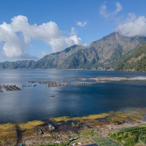 TC-015 — Still Waters