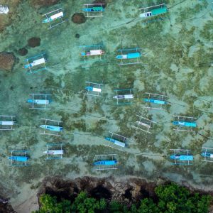 TC-017 — Anchored Lines