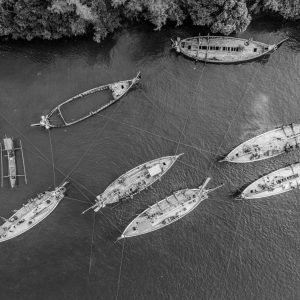 TC-018 — Connected