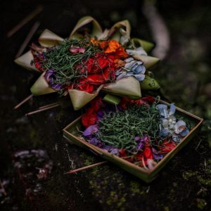 TC-033 — Daily Offerings