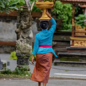 TC-020 — Carrying the Offering