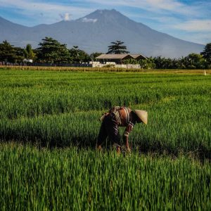 TC-038 — Between Earth and Sky