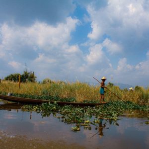 TC-030 — Floating Fields