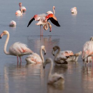 TC-040 — In still water