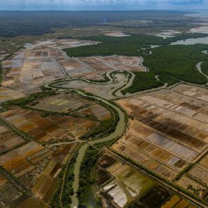 TC-065 — The Wound in the Land