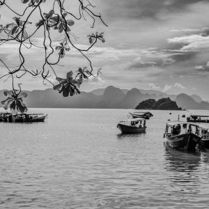 TC-068 — Anchored in Stillness