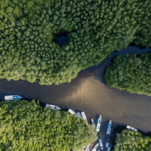 TC-070 — Veins of the Earth