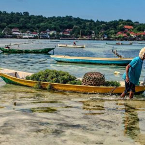 TC-071 — Between Tides