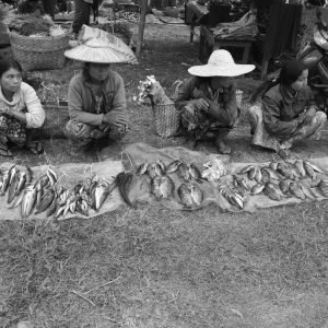 TC-077 — What the River Gives