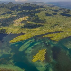 TC-079 — The Living Shore