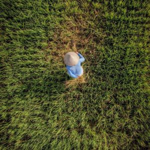 TC-090 — The Shape of Solitude