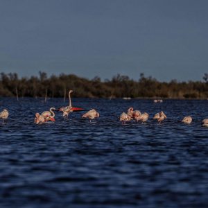 TC-092 — A Quiet Gathering