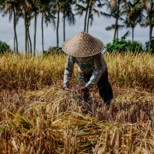 TC-114 — The Rhythm of the Field