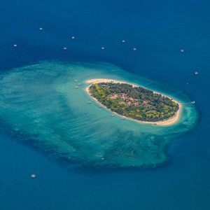 TC-044 — Alone in Blue