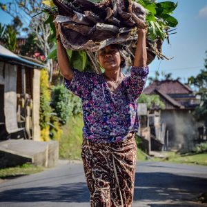 TC-115 — The Balance of a Life