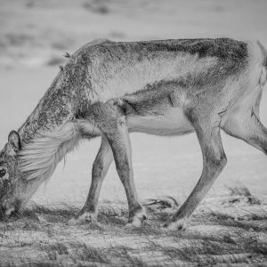 TC-054 — Fragile Balance