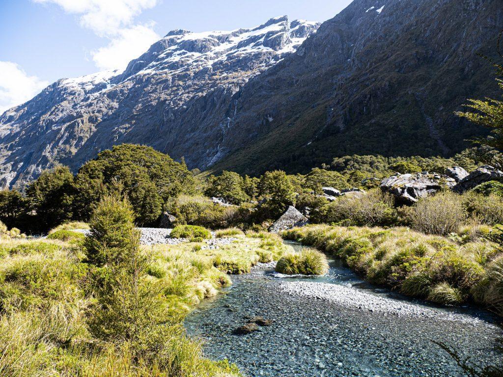 Vallée alpine de Nouvelle-Zélande avec rivière et montagnes enneigées habitat naturel du Kéa.