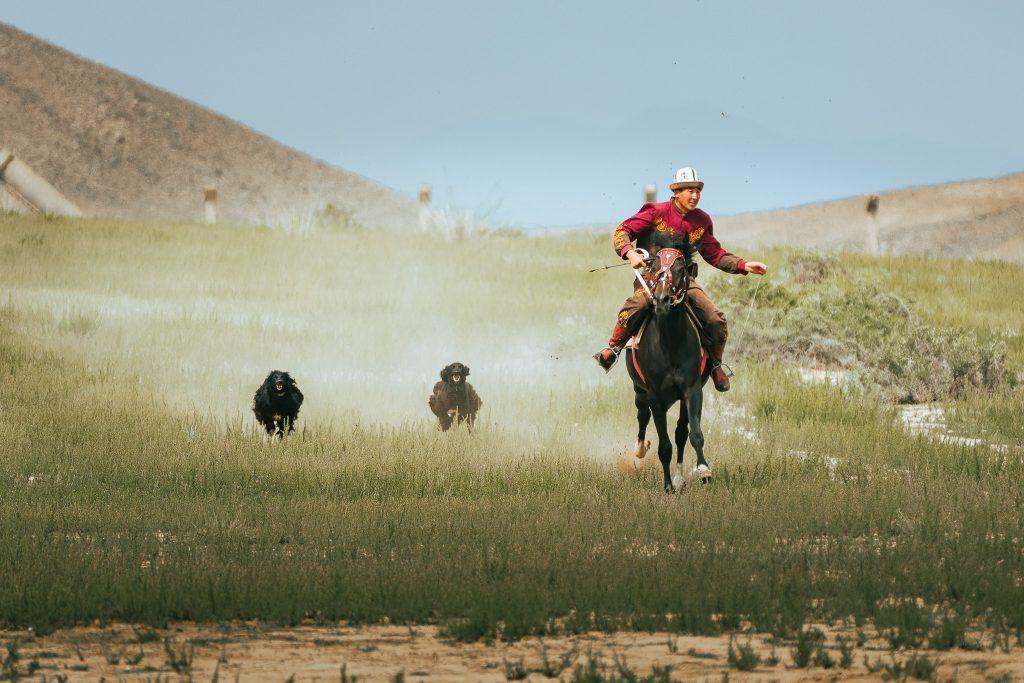A Kyrgyz horseman takes part in a traditional race in the steppe, followed by dogs running through the dust.
