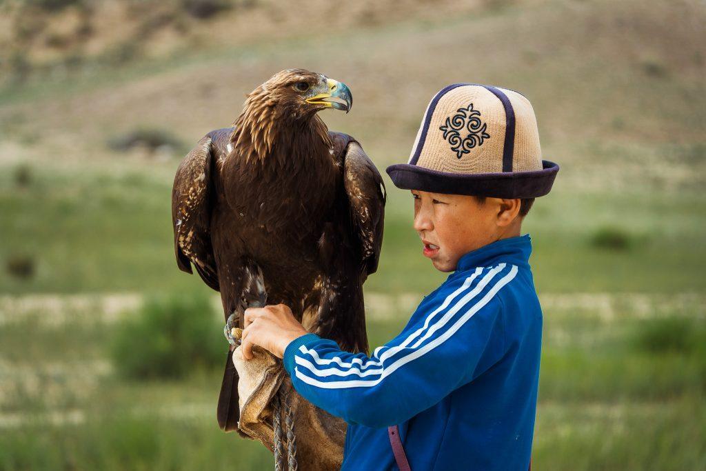 Un jeune chasseur kirghize observe attentivement son aigle royal perché sur son gant, dans un paysage de steppe.