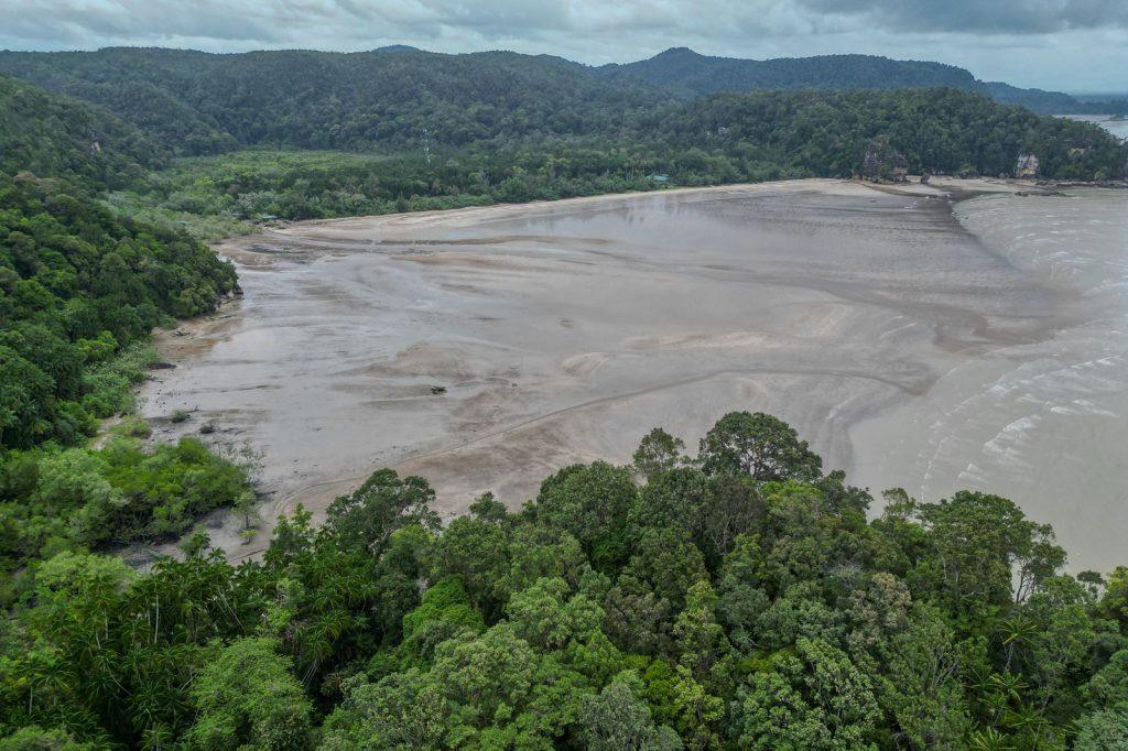 Paysage côtier du parc national de Bako à Bornéo, où les mangroves rejoignent les collines forestières et les zones intertidales.