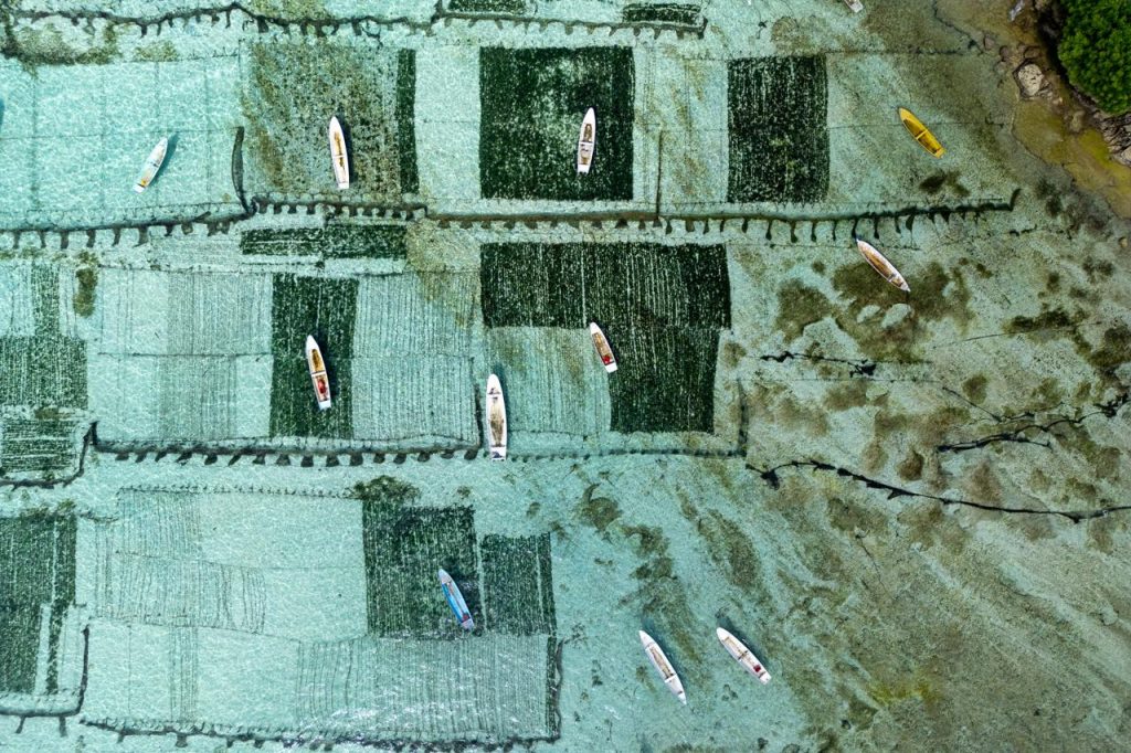 Marine developments delimiting areas for human use, with boats distributed over a shallow coastal area.