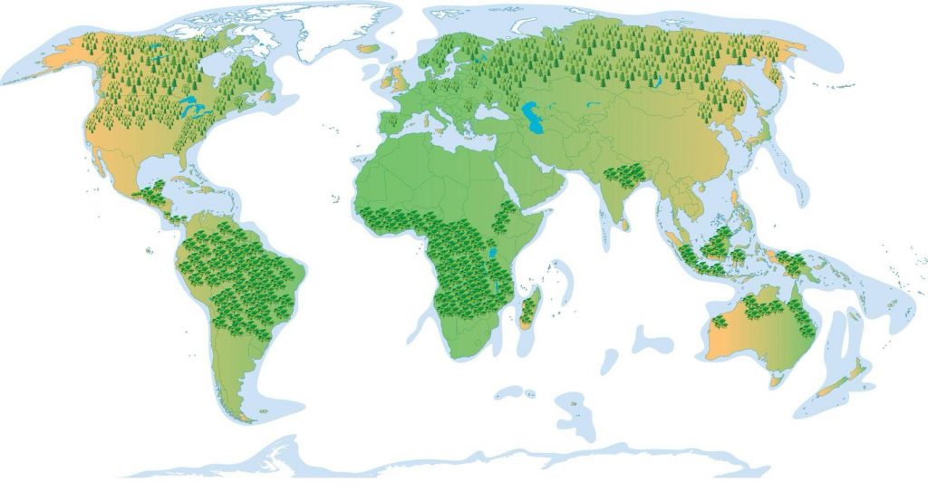 World map showing the distribution of large primary forests and major forest biomes across the continents.