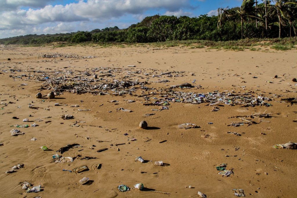 Déchets plastiques dispersés sur une plage après leur transport par les courants marins.
