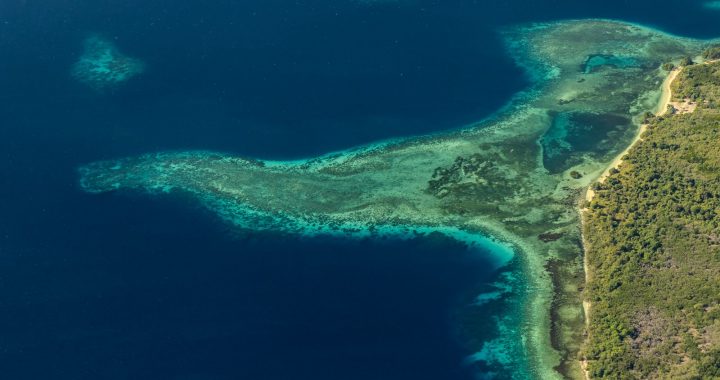 Vue aérienne d’un récif corallien longeant une côte avec dégradé de bleu .