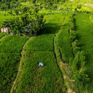 TC-127 — Lines of the Earth