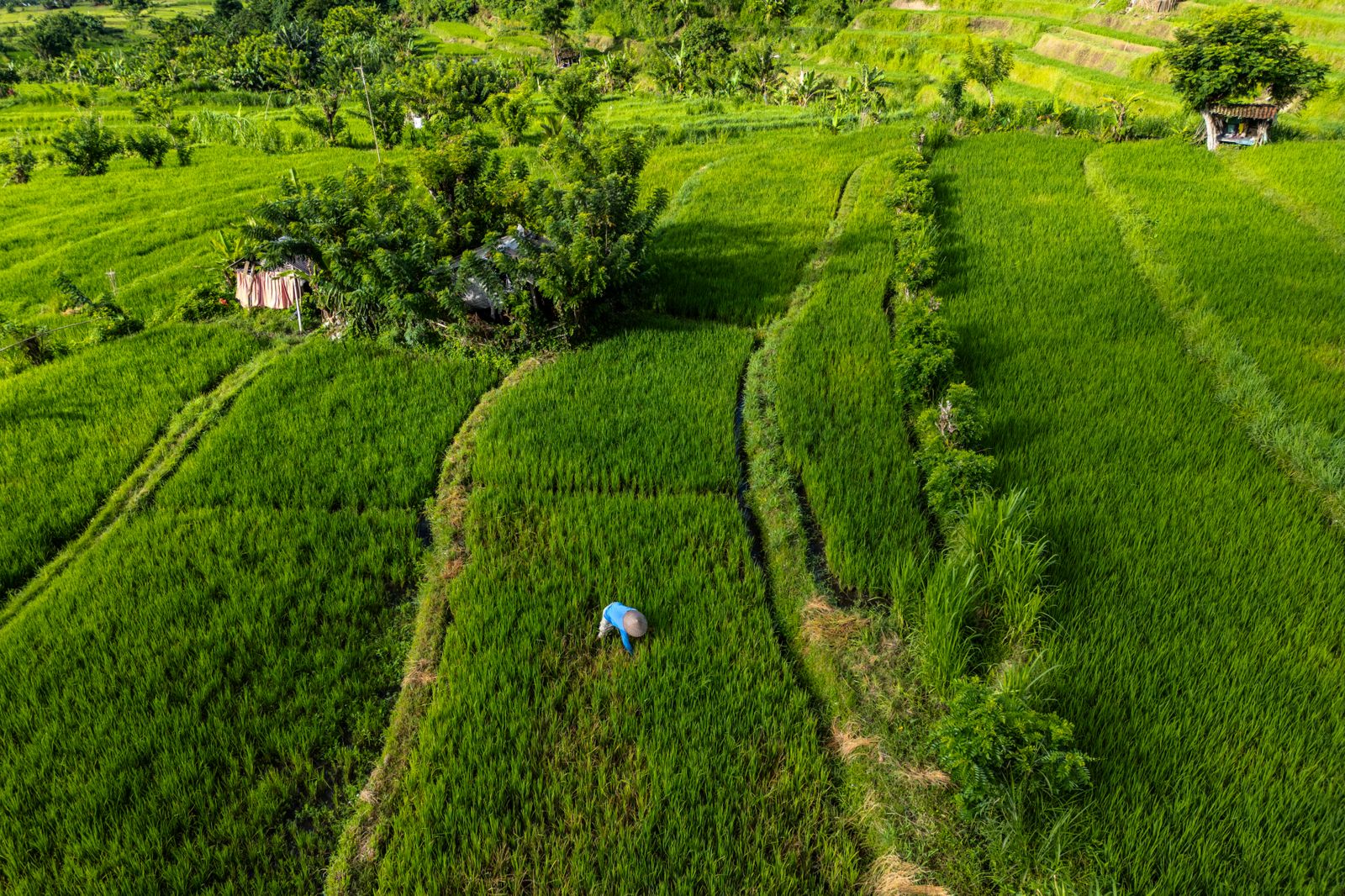 TC-127 — Lines of the Earth