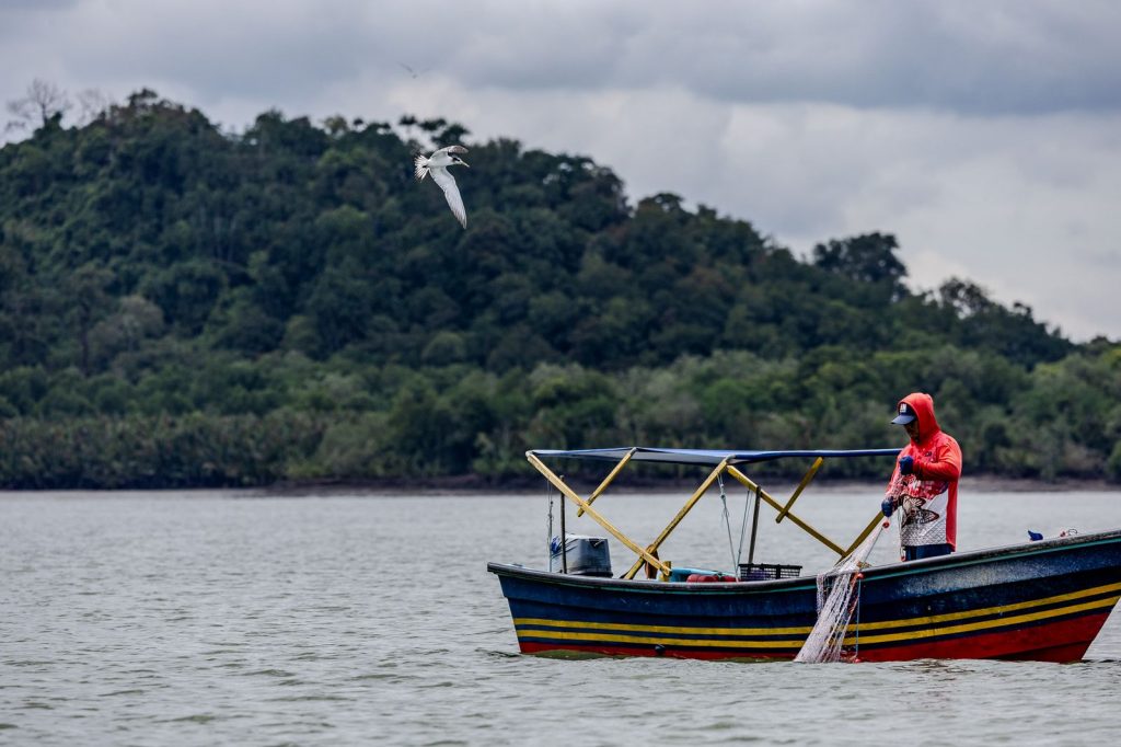 Pêcheur traditionnel dans une zone côtière influencée par les courants marins et les marées tropicales.