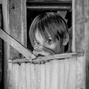 TC-138 — Behind the Bamboo