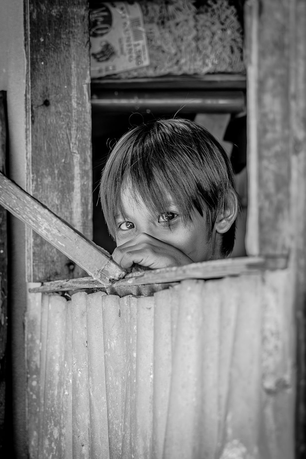 TC-138 — Behind the Bamboo