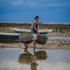 TC-142 — Between Tide and Sky