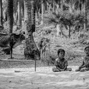 Two children sitting on a white sand beach in Malaysia, surrounded by coconut palms and free-roaming cattle.