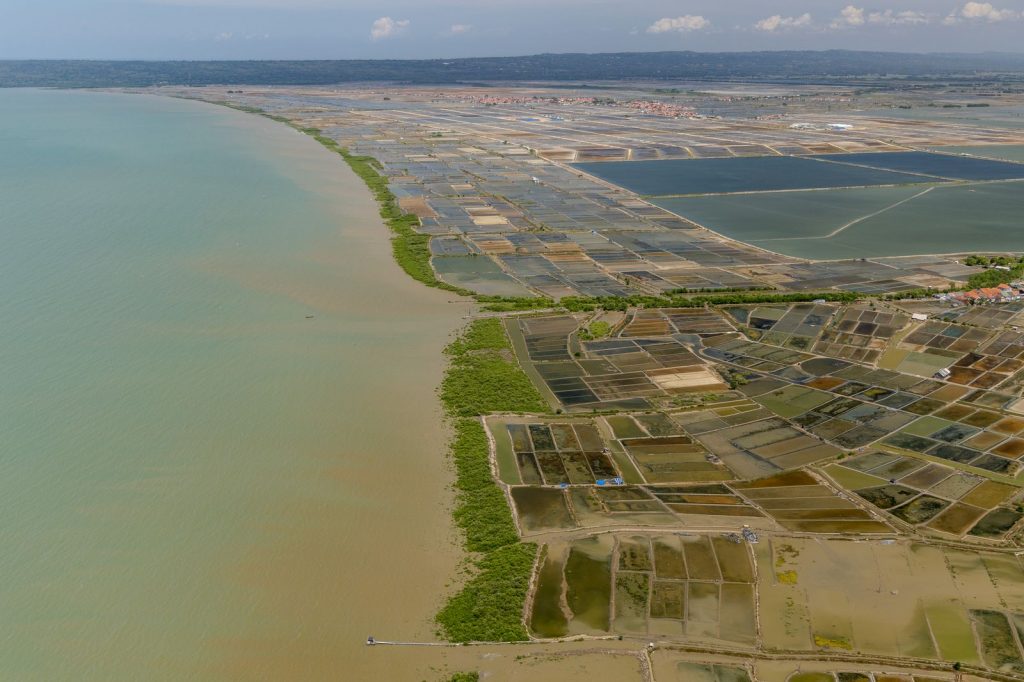 Vue aérienne d'une zone côtière où les mangroves côtoient des bassins aménagés.
